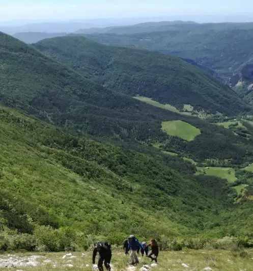 team-building en immersion nature